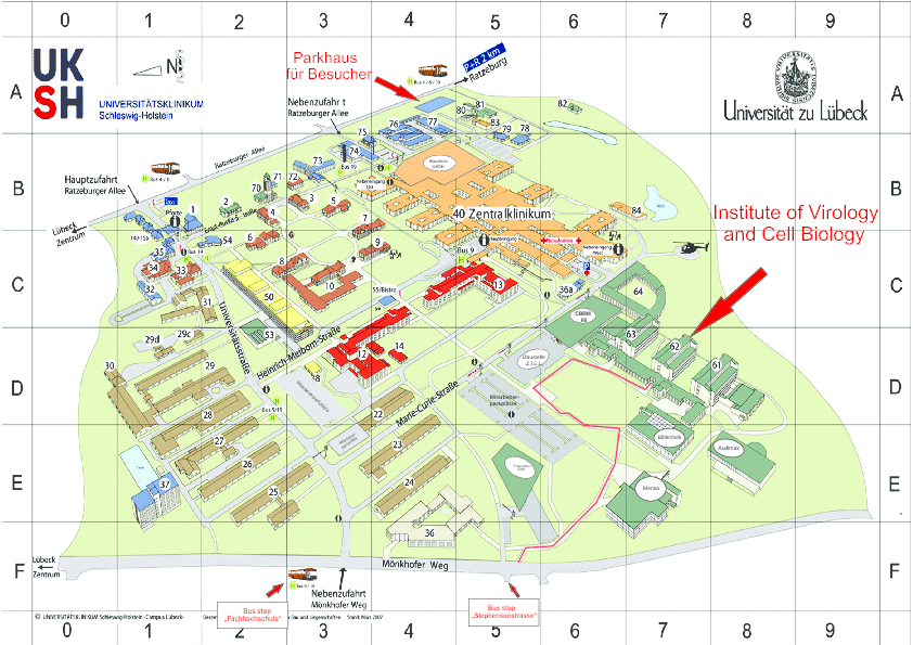 Contact: Institute of Virology and Cell Biology